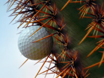 Scottsdale Golf